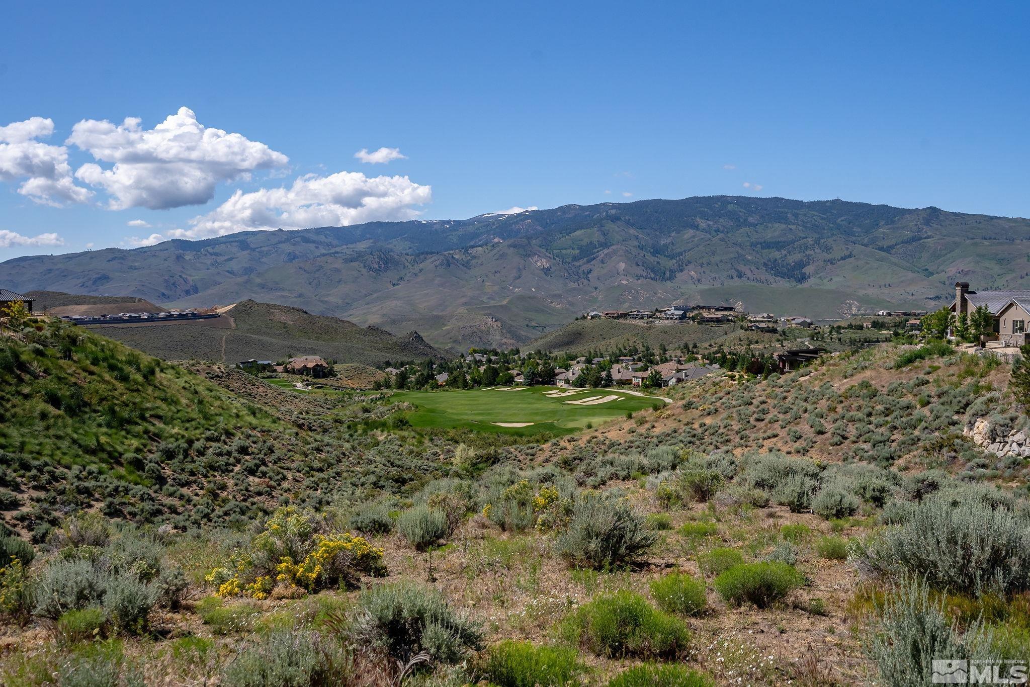 a view of a lush green hillside and houses