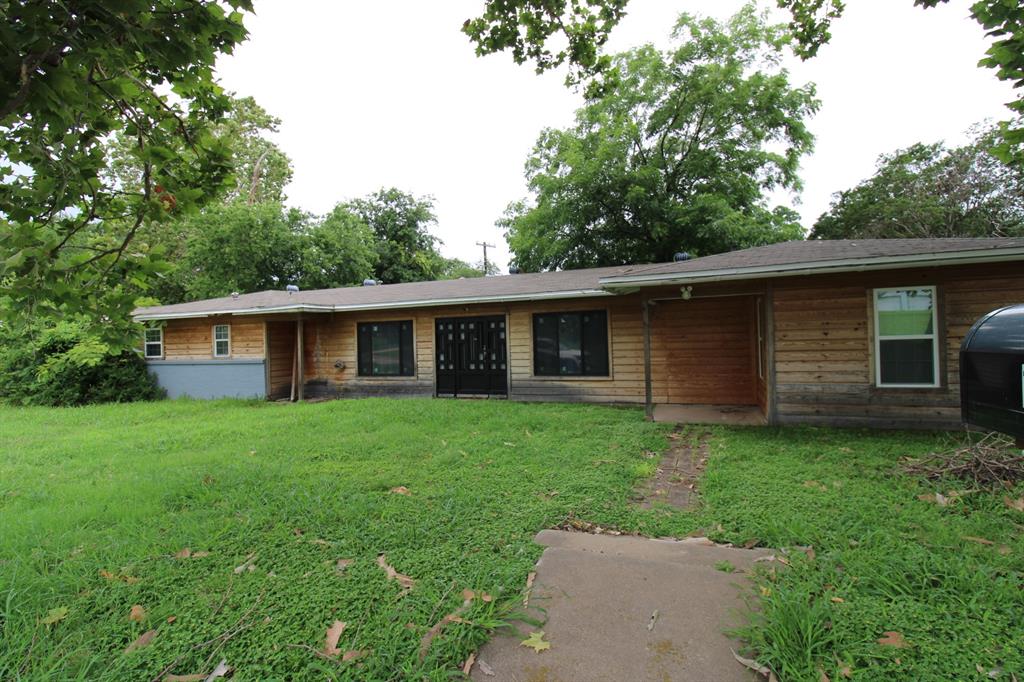 a view of a backyard with plants and large tree