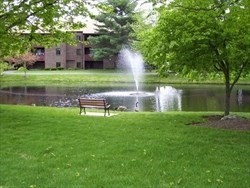 a backyard of a house with lots of green space and lake view