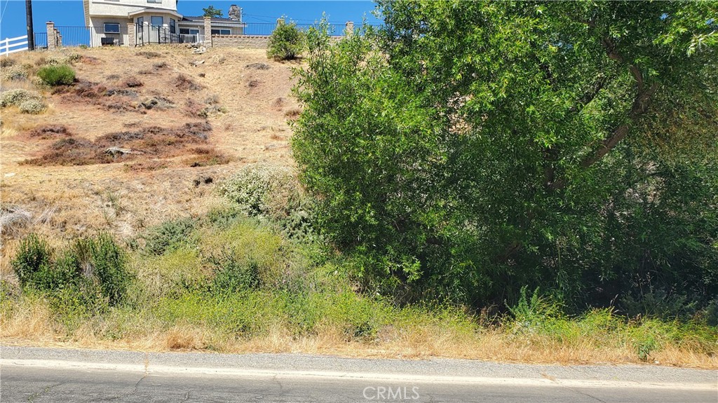 a view of a yard with plants