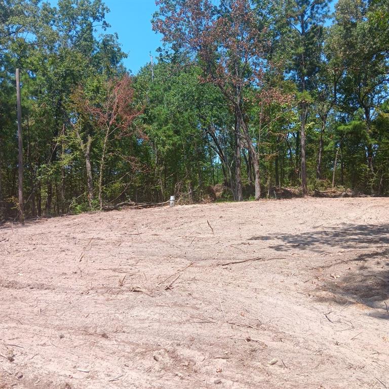 a view of large space with trees