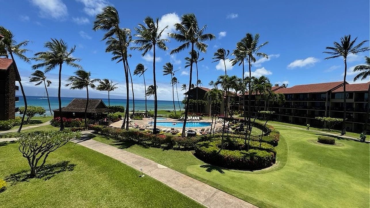 a view of a backyard with couches and swimming pool