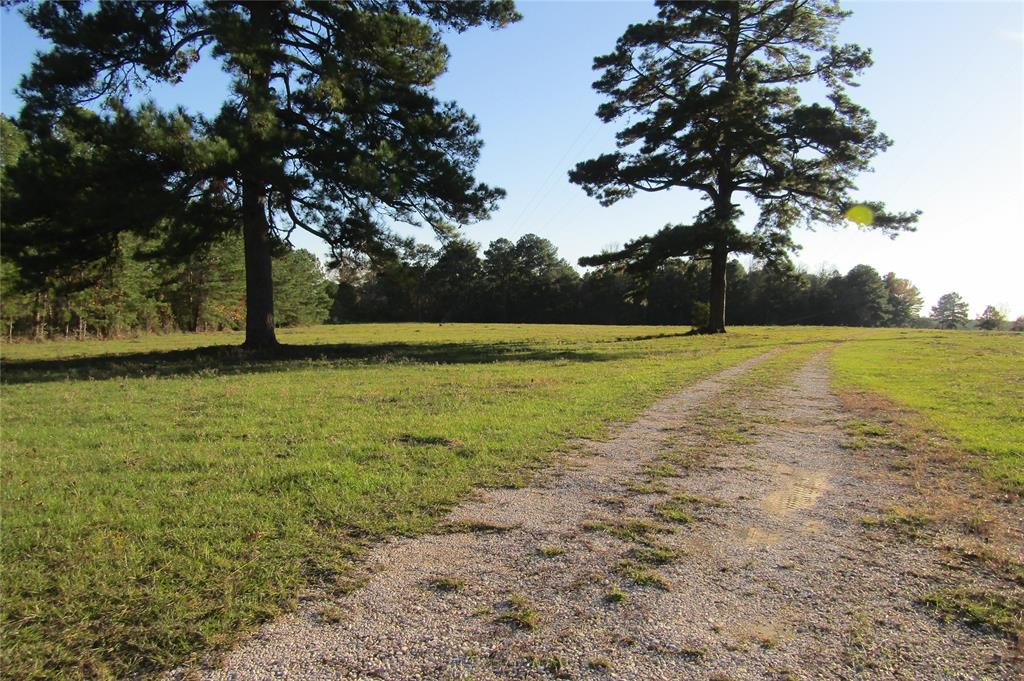 a view of a field with an trees