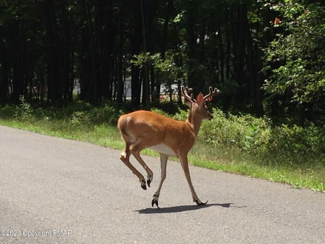 $14,500 | Restricted Address | Holiday Pocono