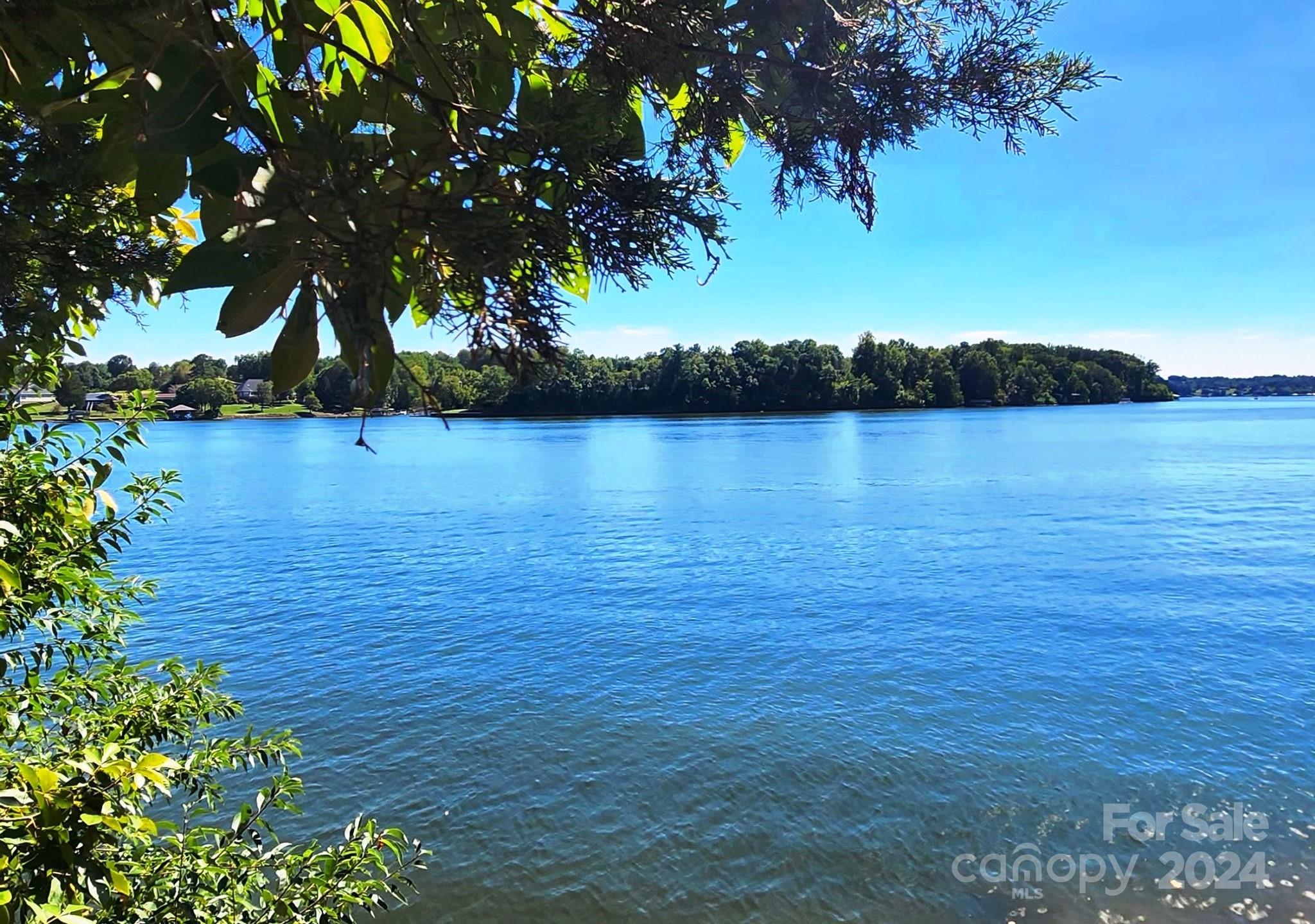 a view of a lake