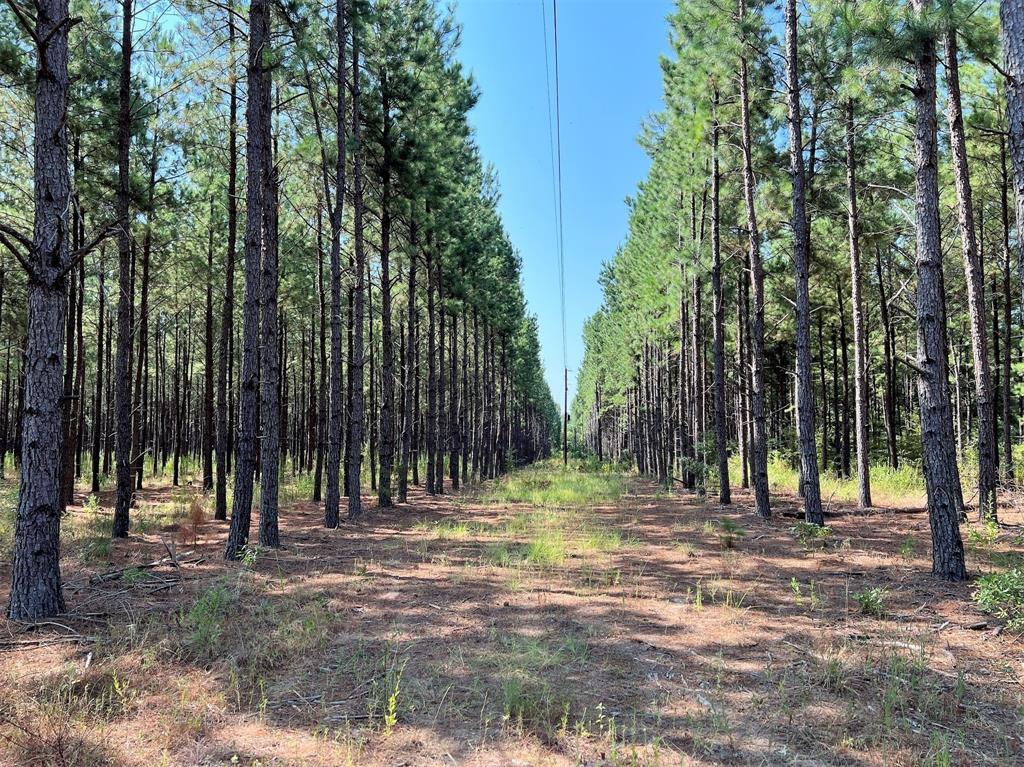 a view of outdoor space with trees