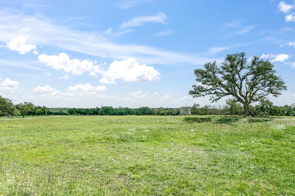 a view of yard and ocean