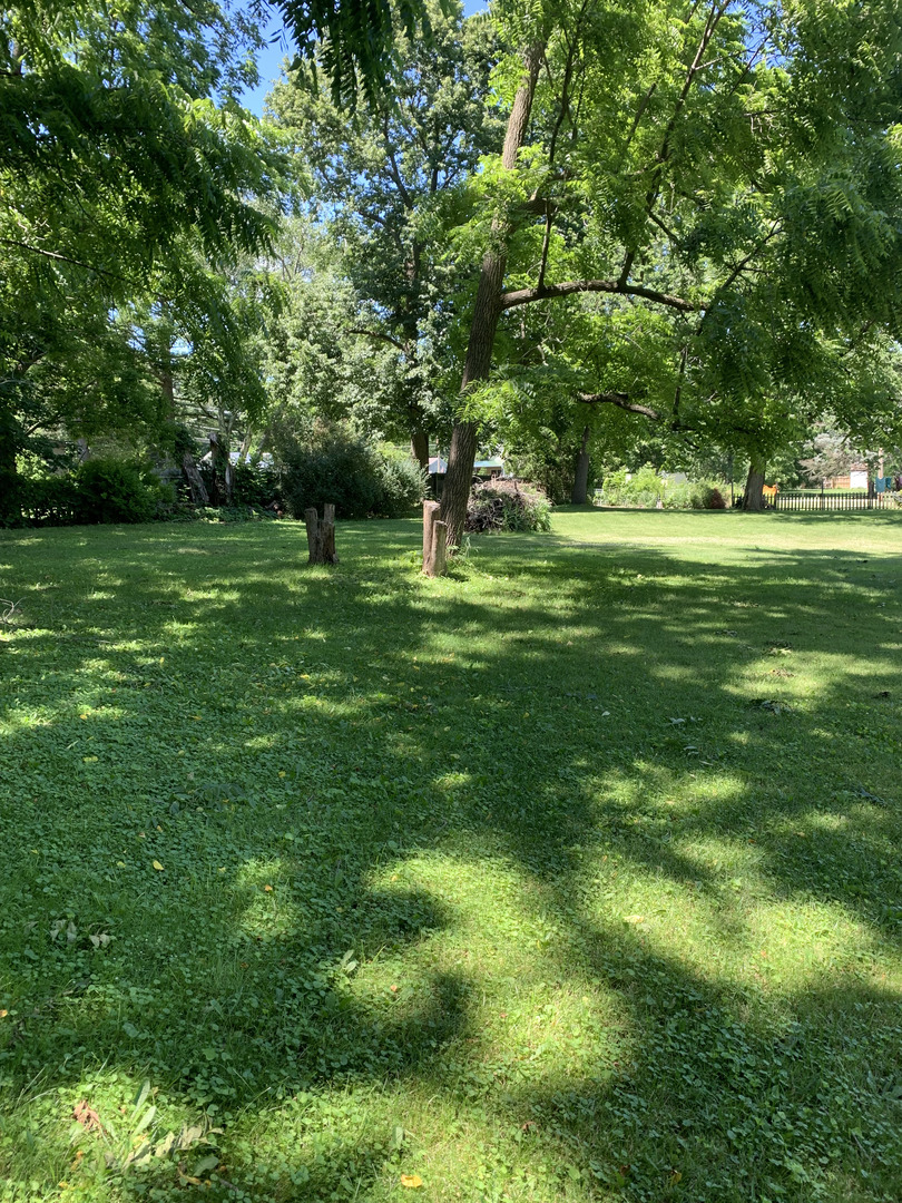 a huge green field with lots of trees