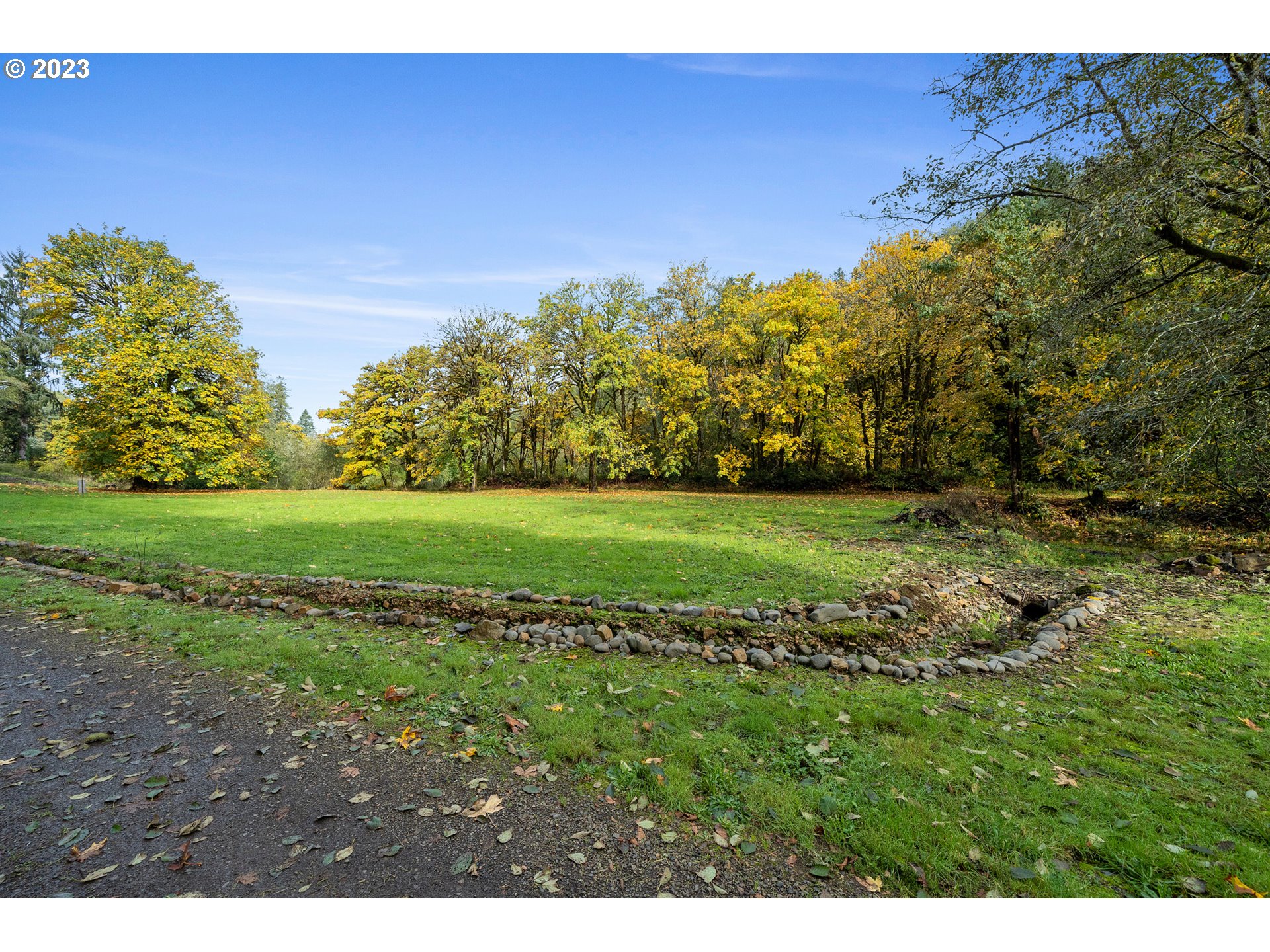 a view of a field of grass and trees