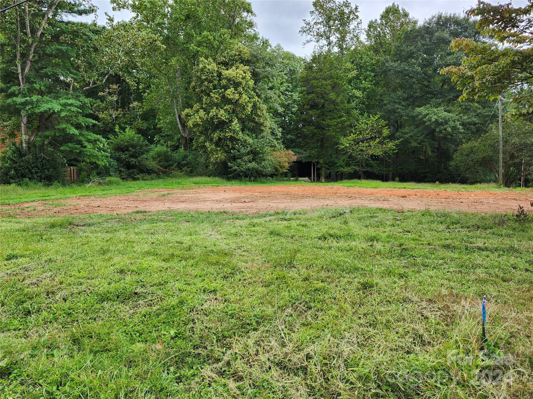 a view of a field with plants and trees in the background