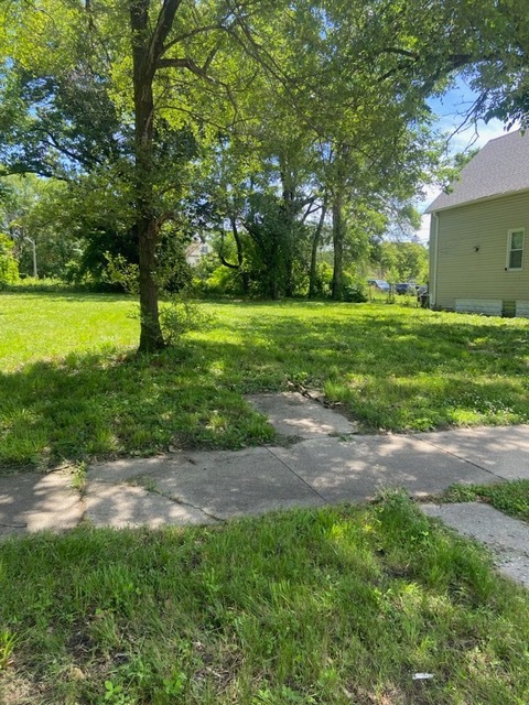 a view of a yard with plants and large trees