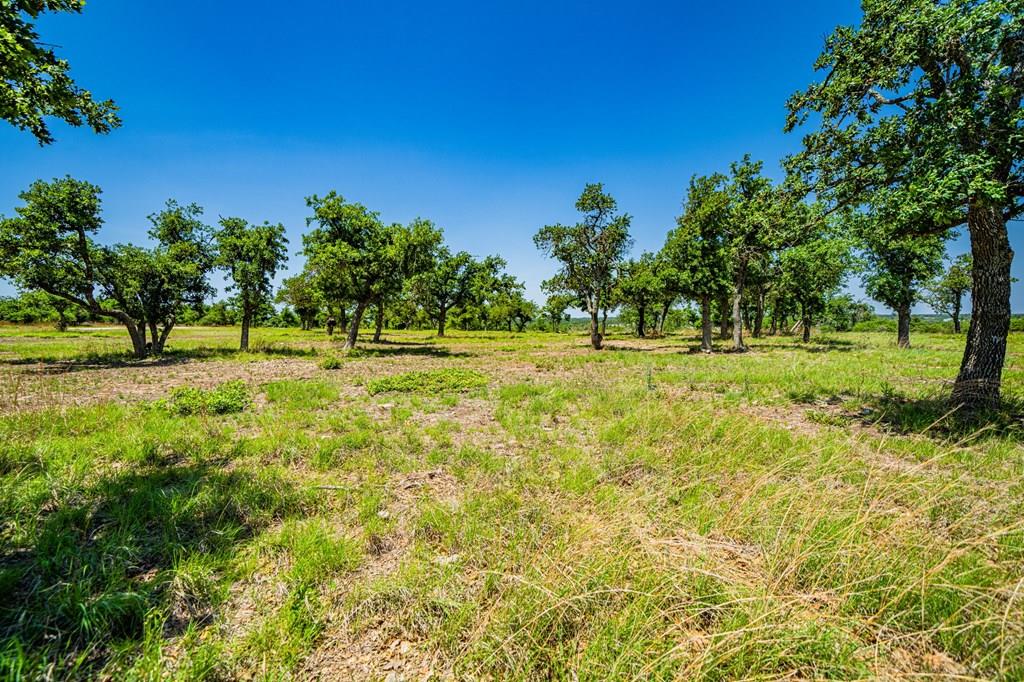 a view of a green field with trees in the background