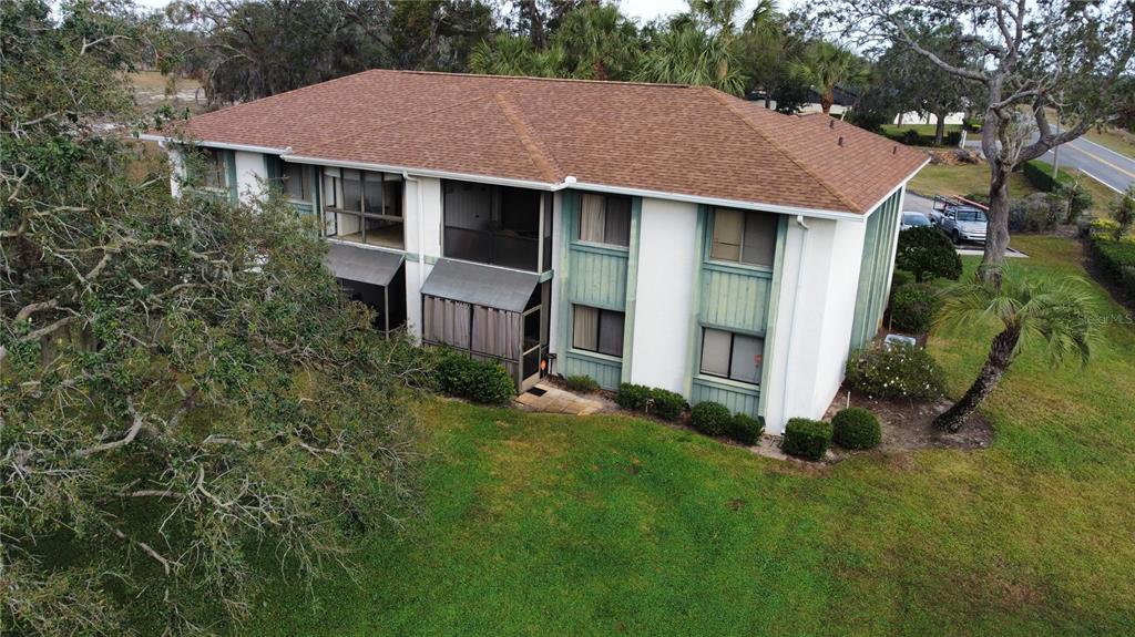 a aerial view of a house with a yard plants and large tree