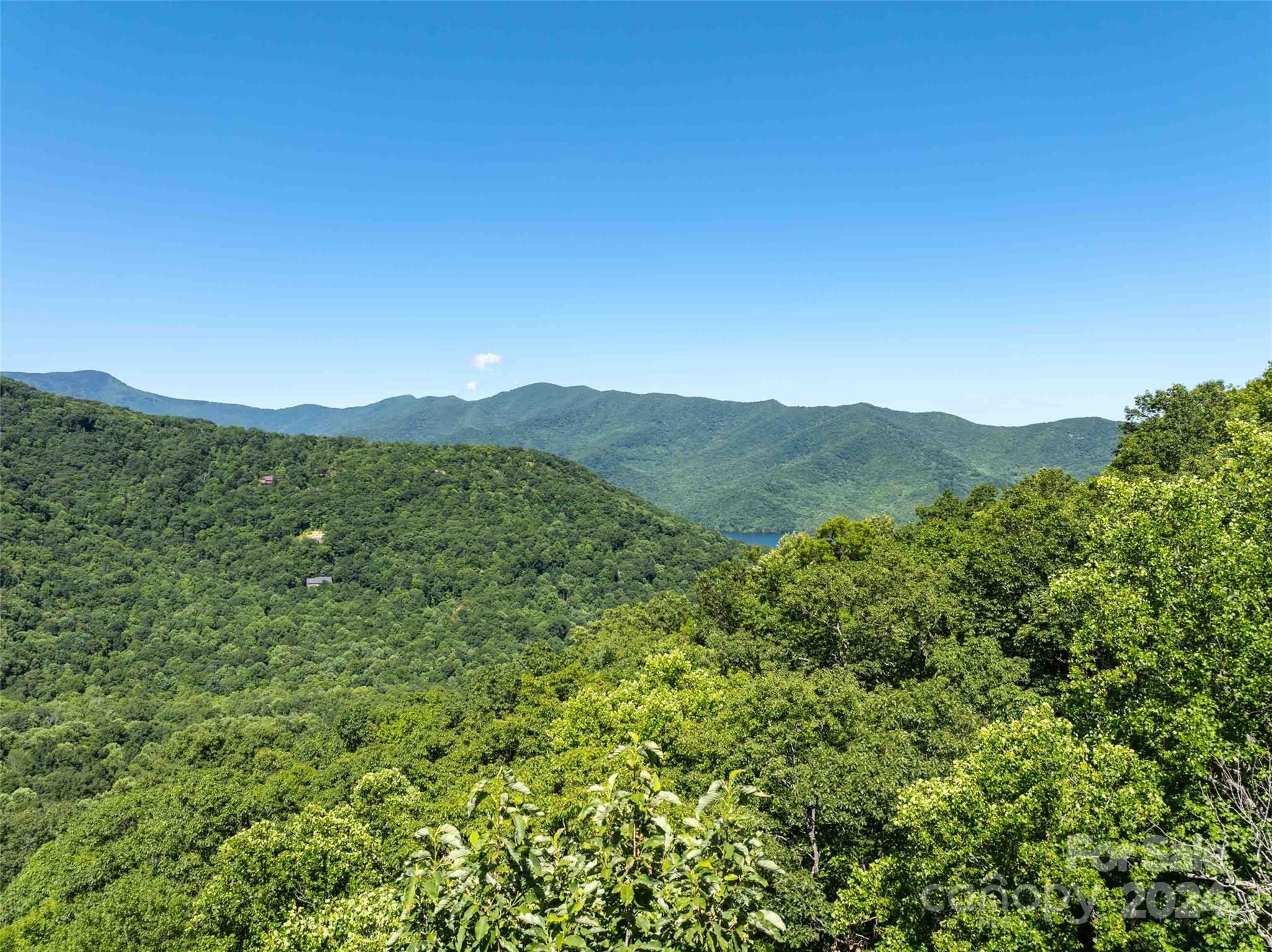 a view of a lush green hillside and a mountain view