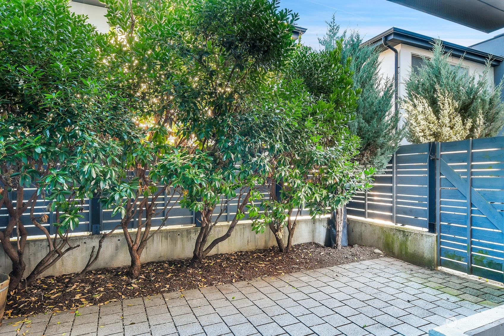 a view of outdoor space yard and patio