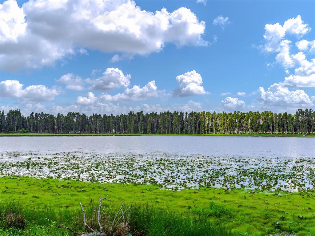 a view of a lake