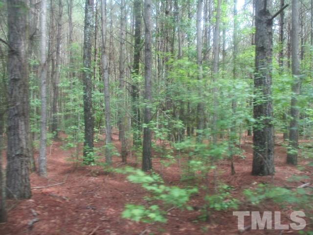 a view of a forest with trees