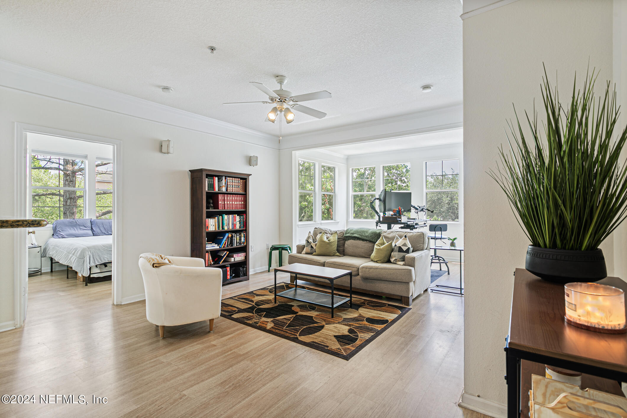 a living room with furniture a table and a potted plant