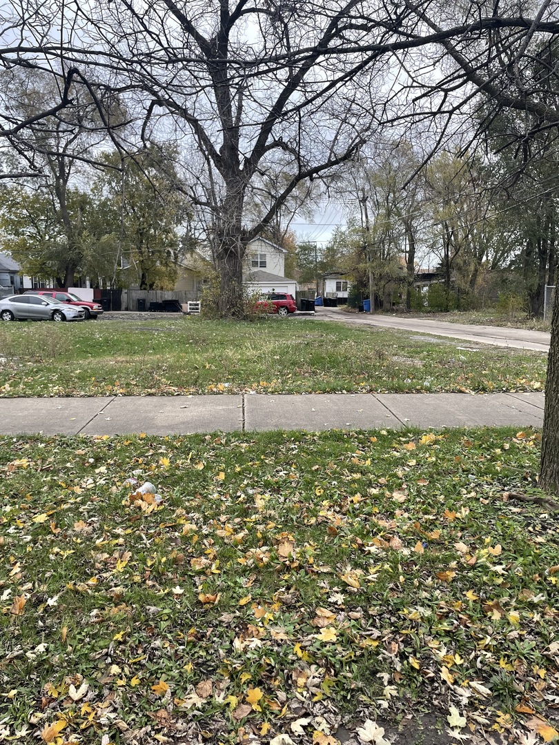 a view of a yard with plants