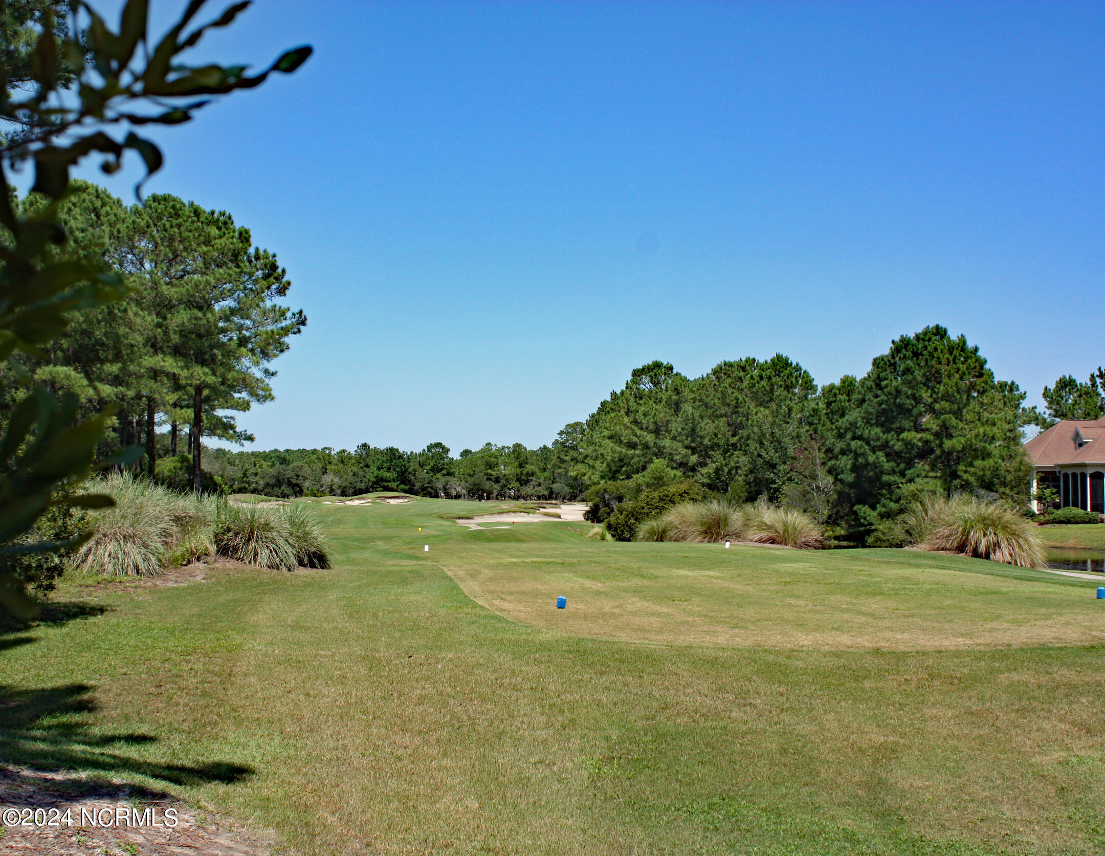 Amazing Golf Views