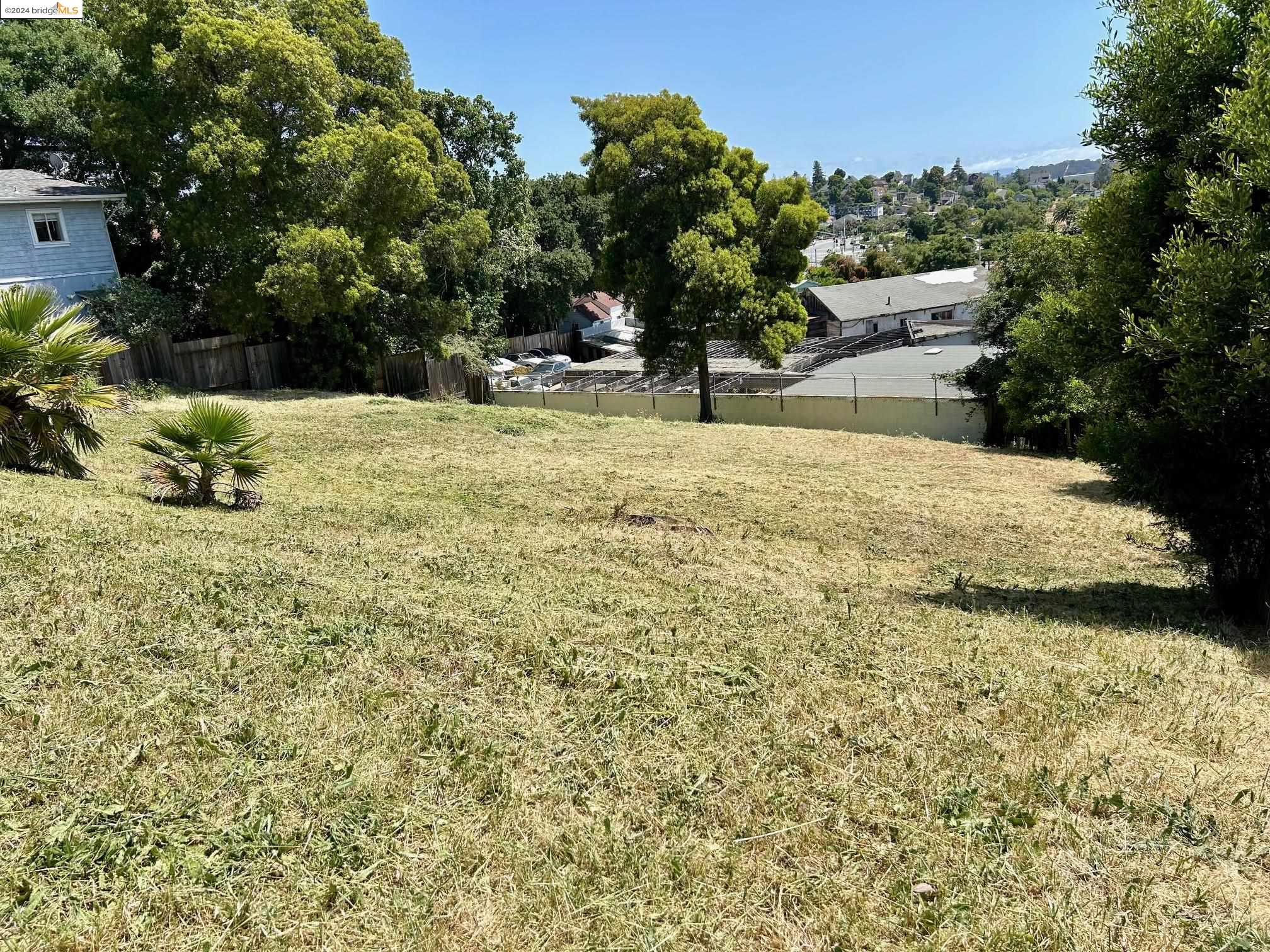 a view of a yard with plants and trees