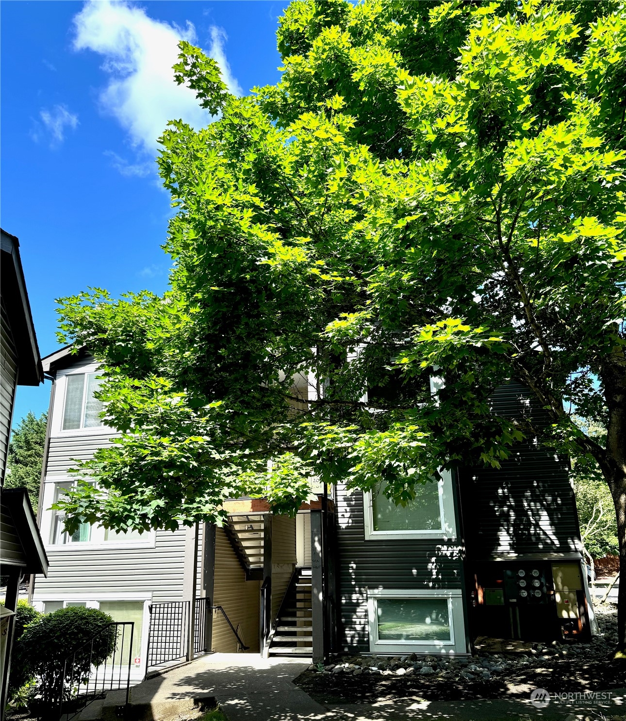 a view of a house with a tree