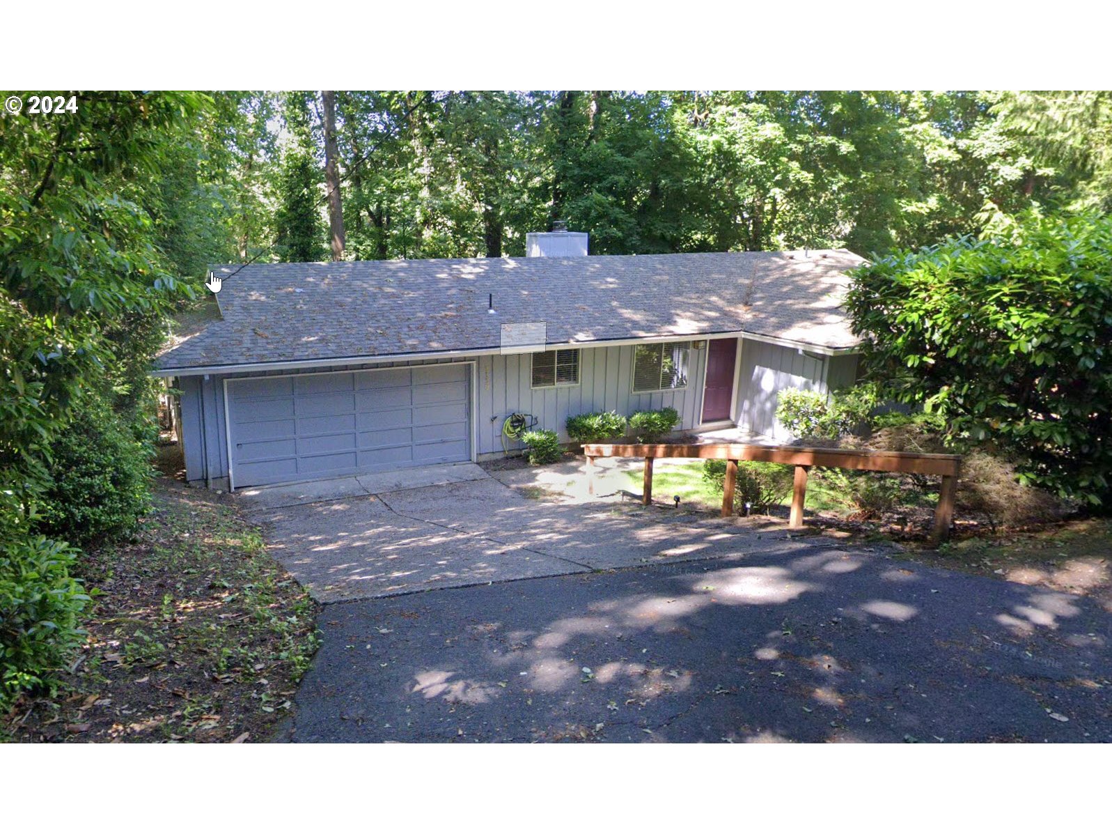 a view in front of a house with a yard potted plants and large tree