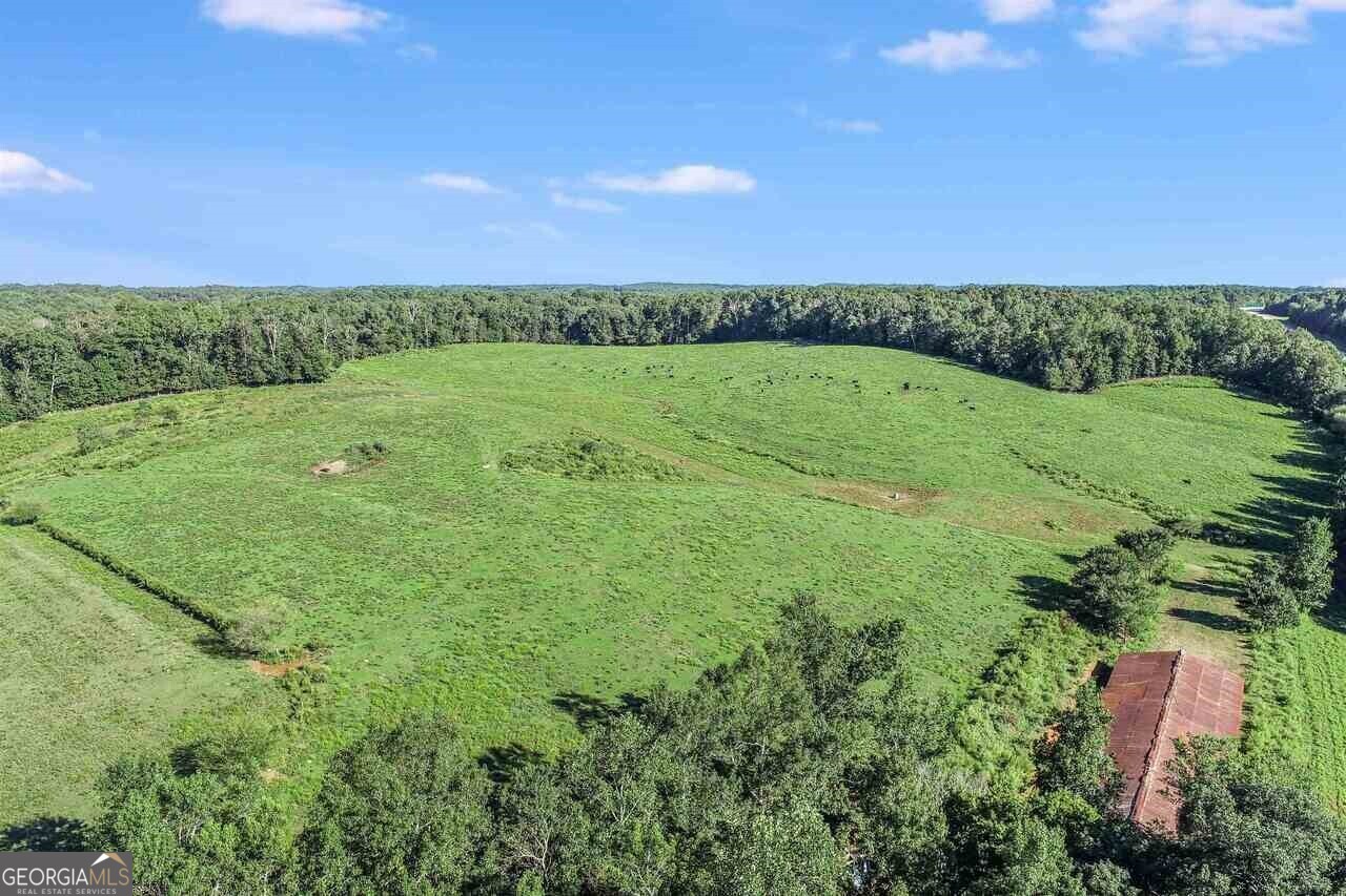 a view of a green field with lots of green space in the back