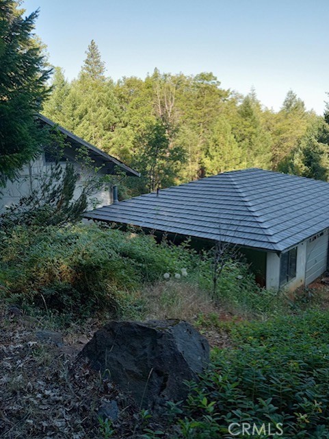 a view of a backyard with plants