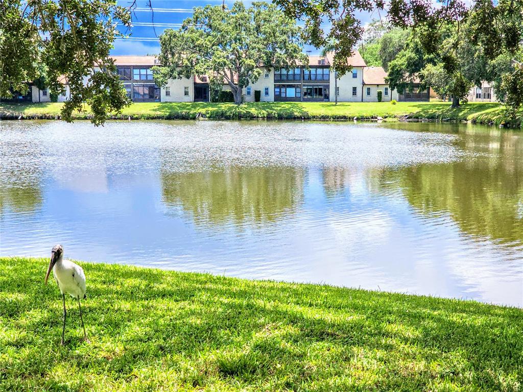 a view of a lake with a house in the background