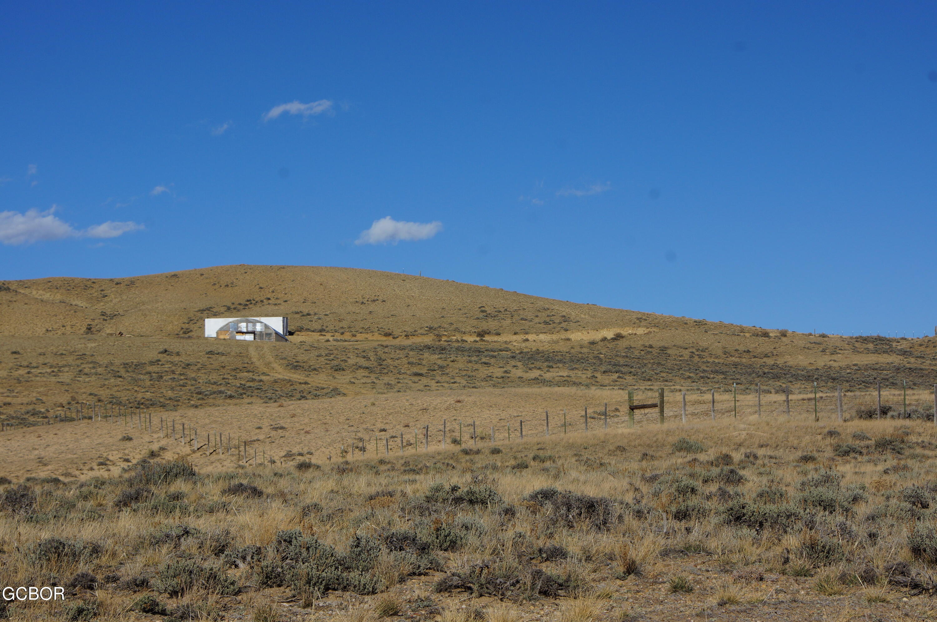 a view of a dry yard