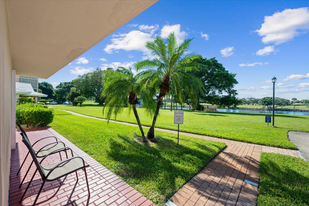 a view of a park with large trees