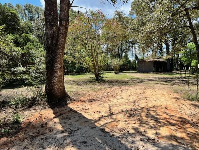 a view of a yard with trees