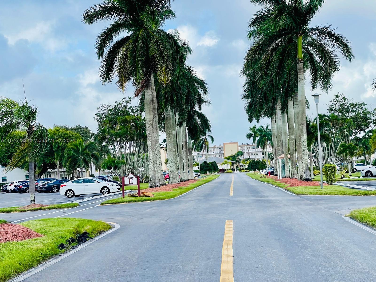 a view of a park with palm trees