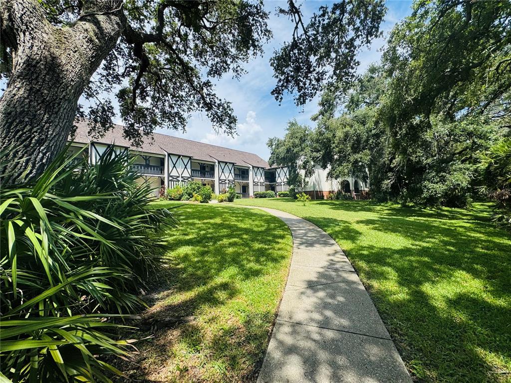 a view of a house with a big yard plants and large trees