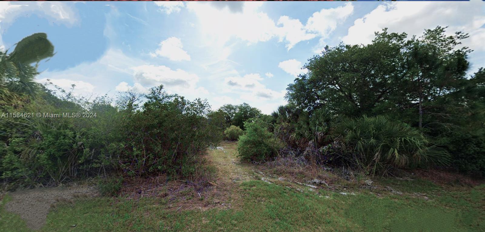 a view of a yard with trees in the background