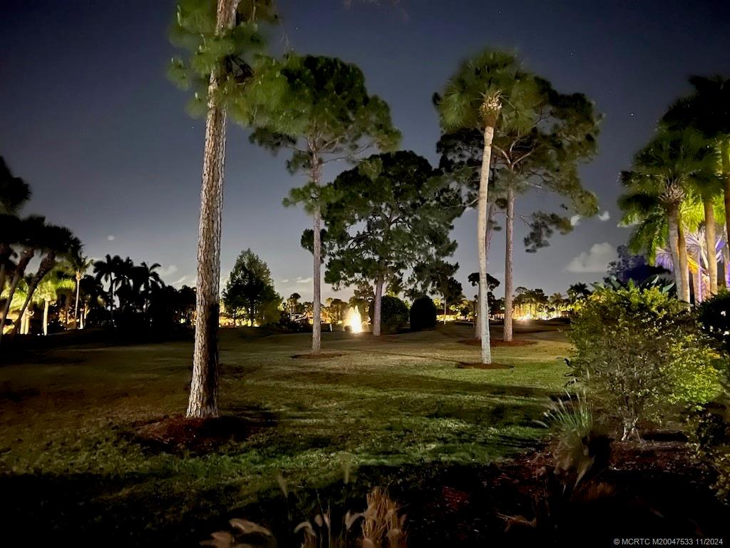 a view of a park with large trees