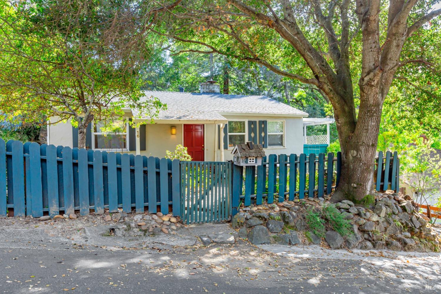 a view of a house with a small yard plants and a large tree