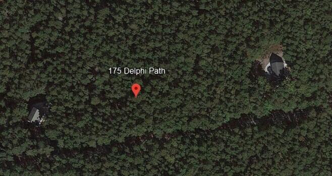 Delphi Path 1