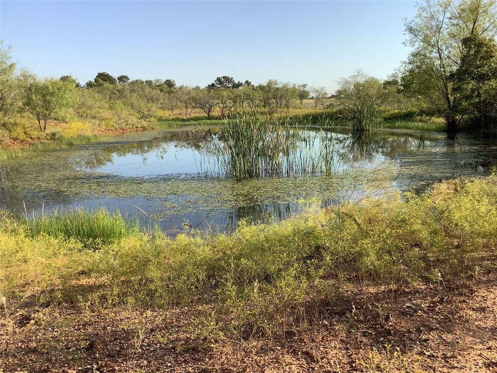 a view of lake with green space