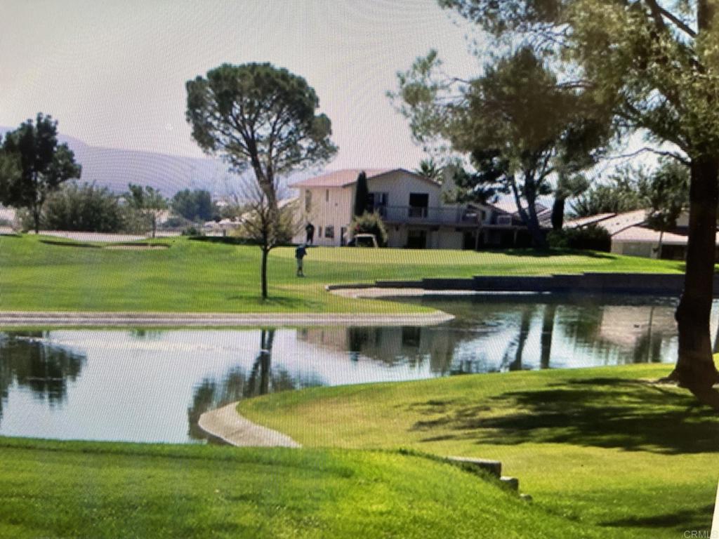 a view of swimming pool with a yard and palm trees