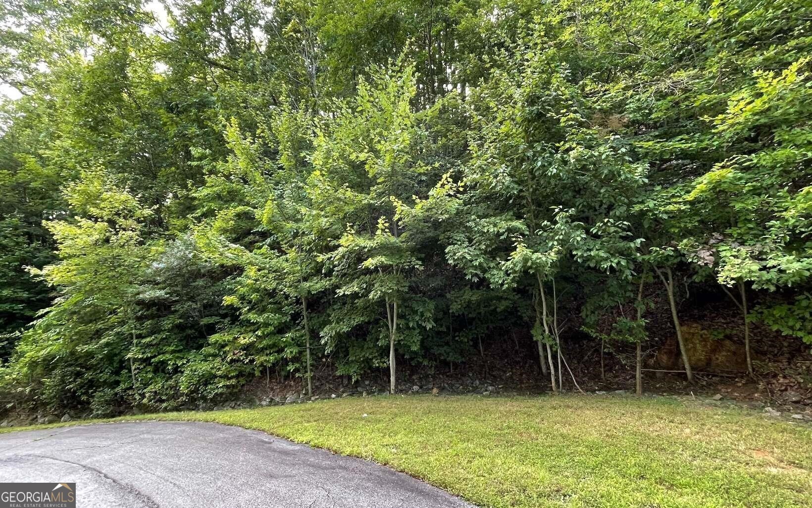 a view of backyard with green space