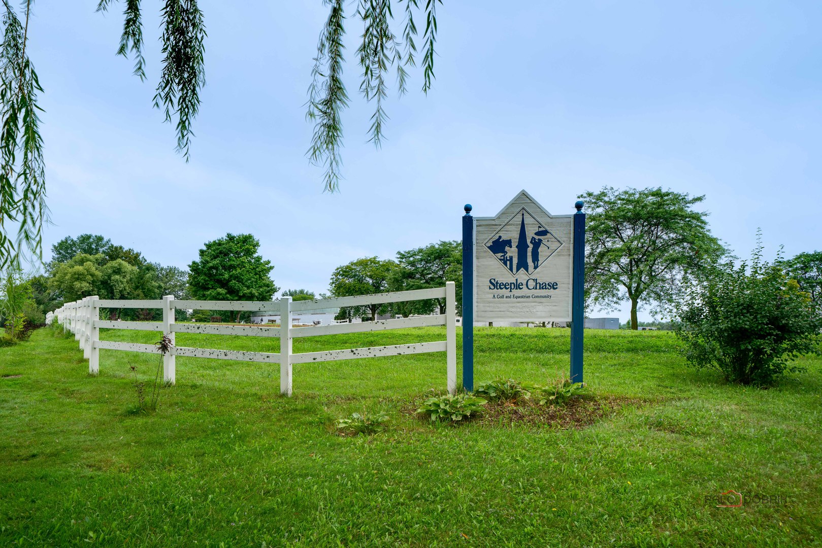 a view of a park with large trees