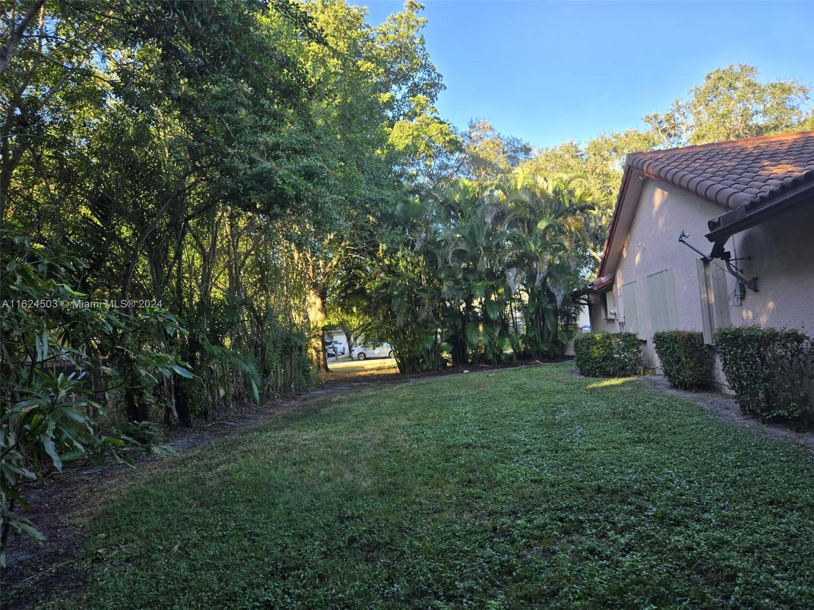 a view of a backyard with large trees