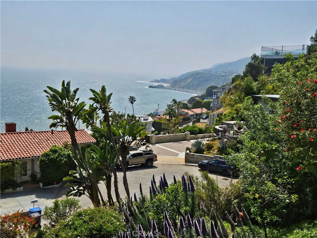 a view of a flower garden with a lake view