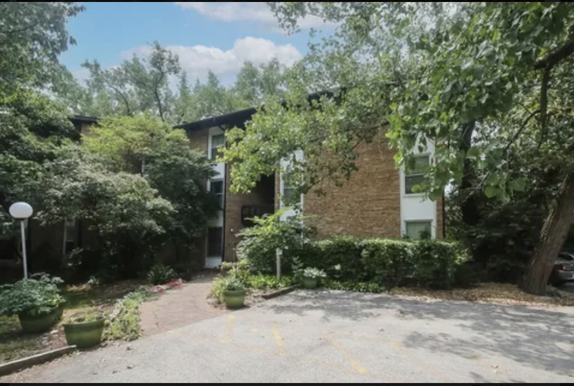 a view of backyard with plants and trees