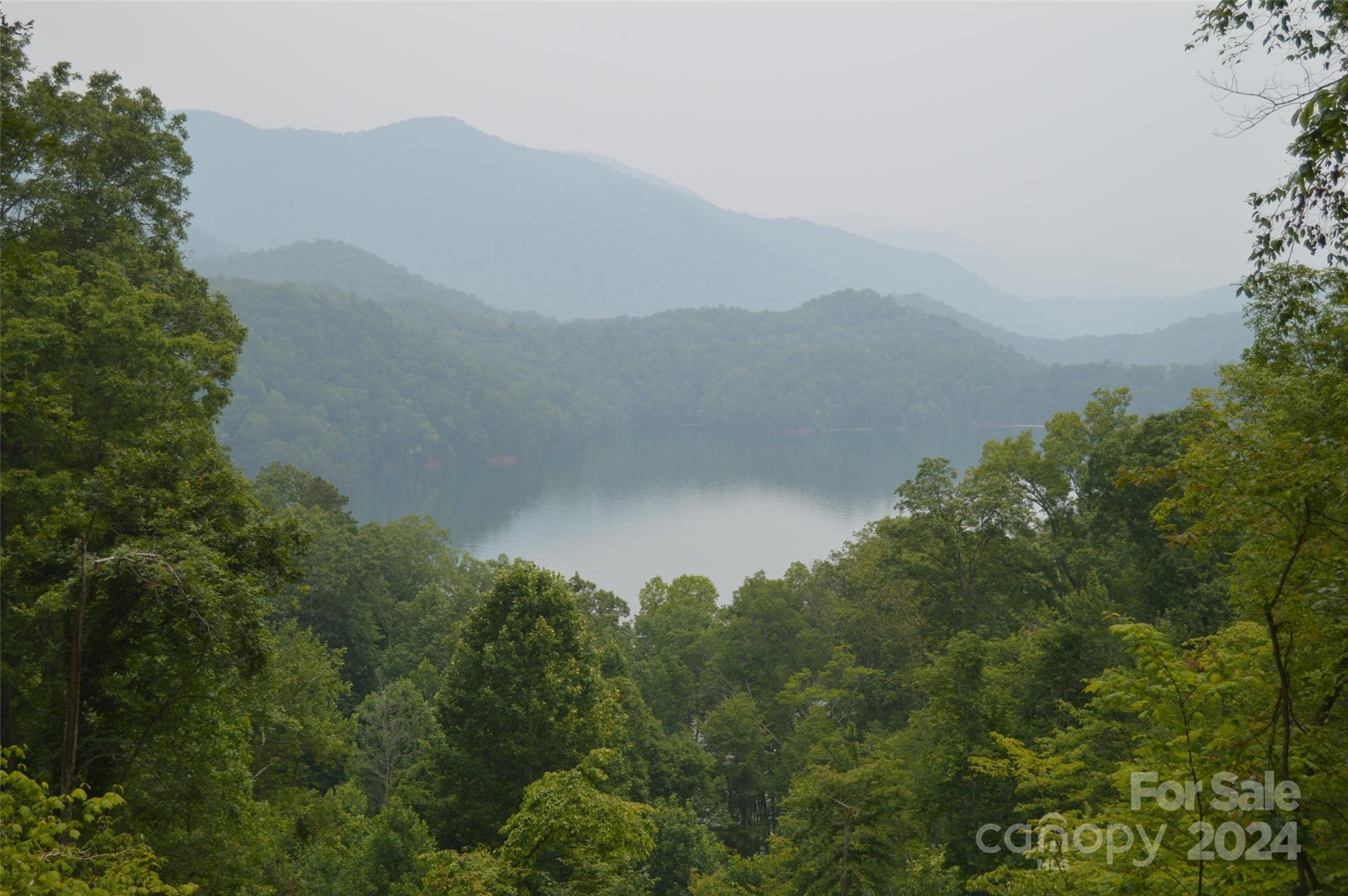 a view of a mountain