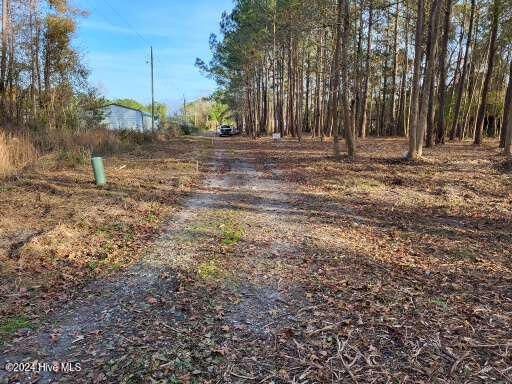 $19,900 | Lot 6 Minor Run Road | Richland Township - Beaufort County