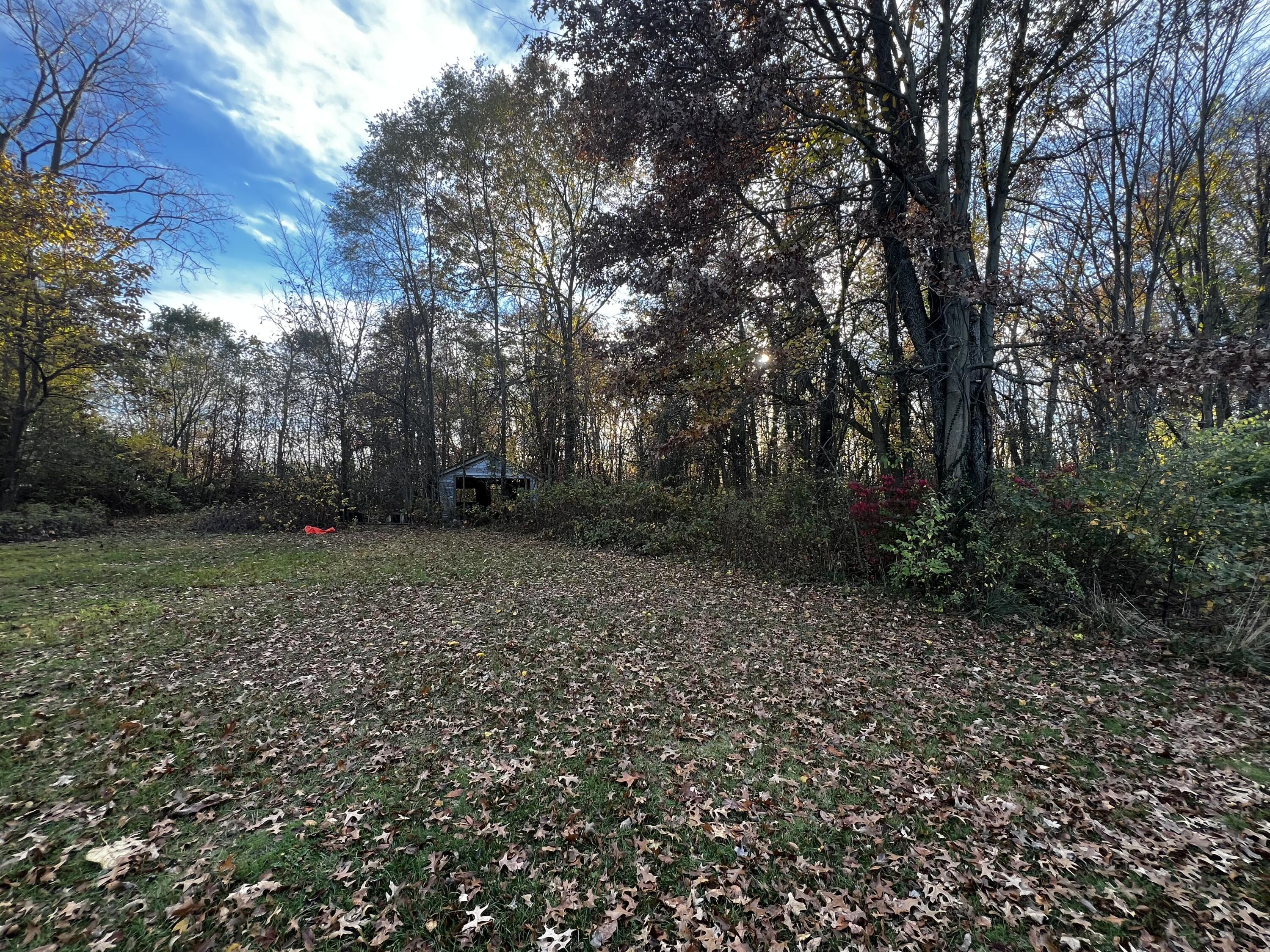 a view of backyard with green space