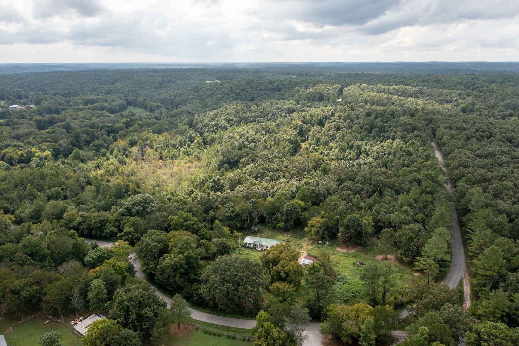 an aerial view of forest